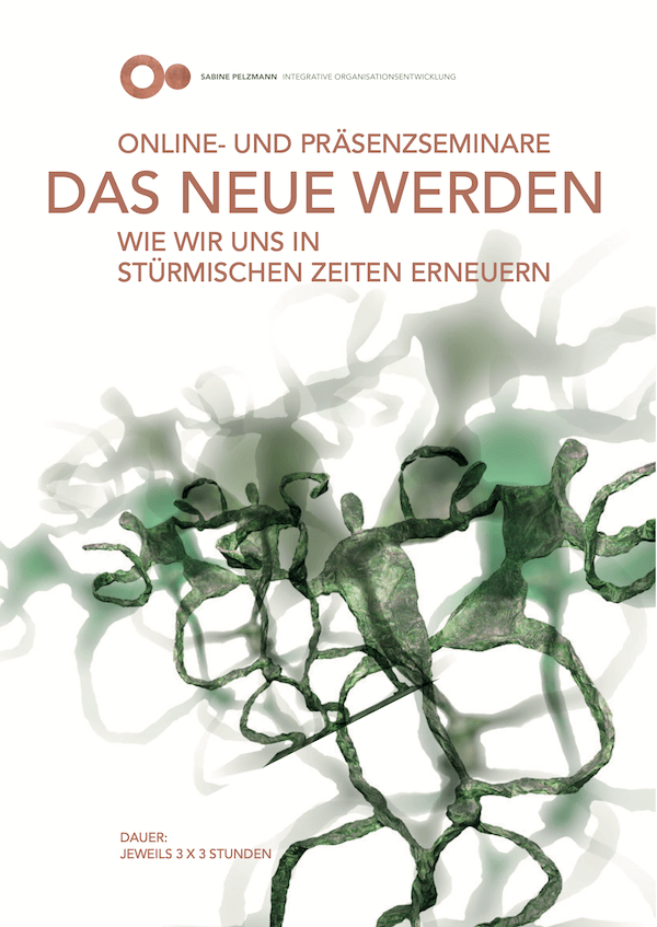 Sabine Pelzmann, Covid-19, Change-Management, Krisenmanagement, Sabine Pelzmann und Integrative Organisationsentwicklung und www.pelzmann.org
